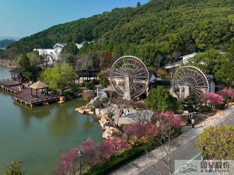 电竞比赛押注app