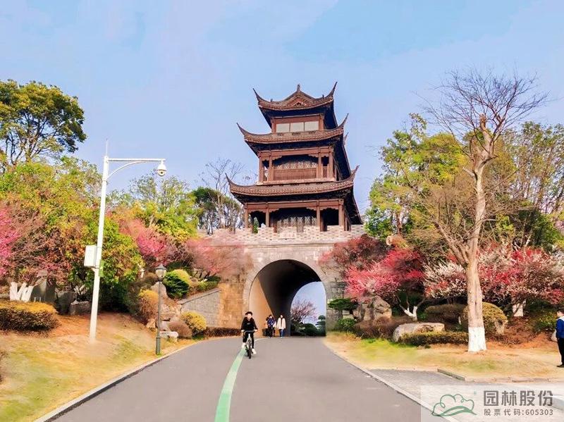 电竞比赛押注app