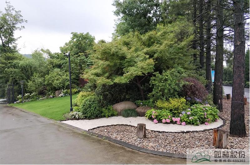 电竞比赛押注app