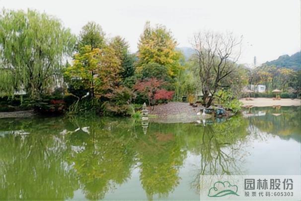 电竞比赛押注app