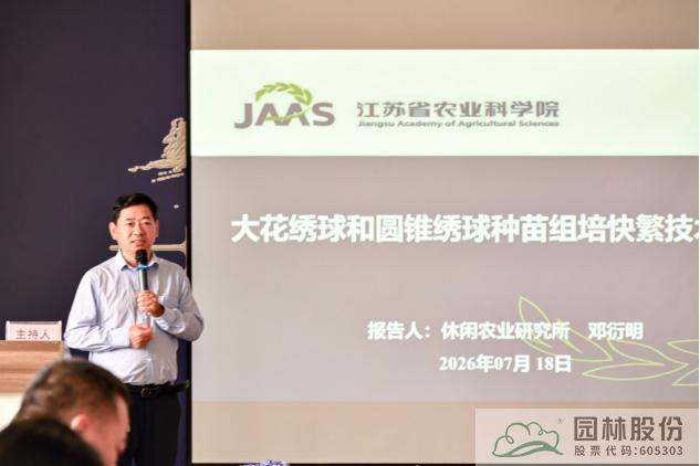 电竞比赛押注app