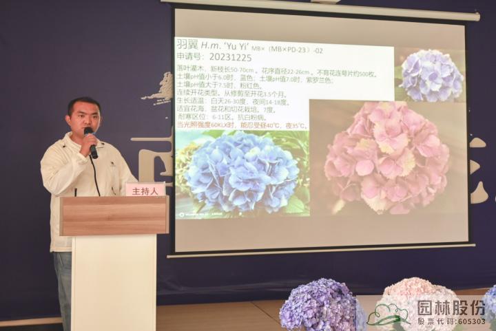 电竞比赛押注app